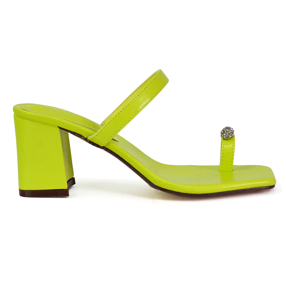 Daiquiri Double Strap Square Toe Ring Block Heel Sandals in Green