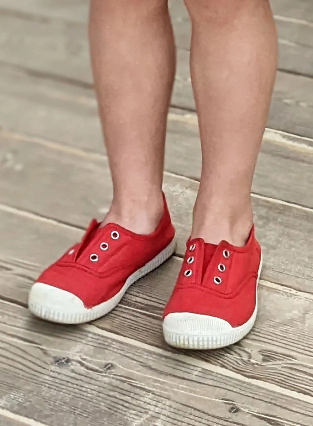 Hampton Canvas Plum Plimsolls in Red